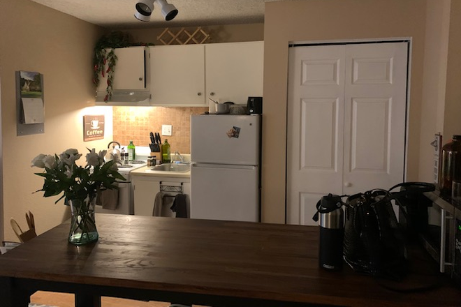 Kitchen and Island - Cozy Large Studio Near DU Campus - Kitchen Island, Basement Storage, Great Price! Apartments