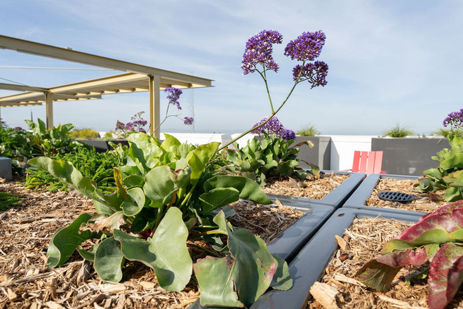  - Secure Your Dream Home at RUMI – Fully Furnished Units with Stunning Views!