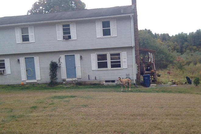 Front yard - Buffam Falls duplex Duplex