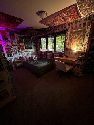 Bedroom view from entrance - Spring Sublease Walnut St