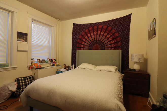 bedroom - Sun filled Comm Ave 3 bed - landlord pays the fee! Apartments