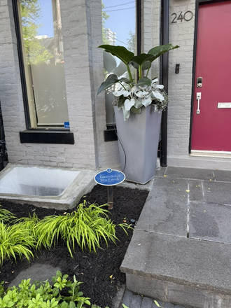 Front of Home - Hip, Modern, Boutique Suite in the Heart of the Annex Apartments