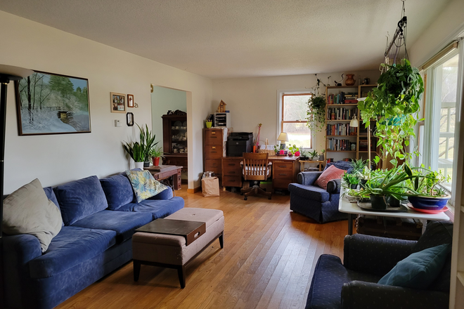 Living Room - Midway Between Burlington and Montpelier, Close to I-89