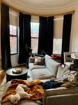 Living Room - Beautiful One Bed on Beacon Street! Available 9/1! Apartments