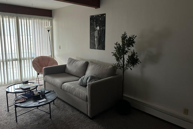 Living room - Summer Sublease 1B1R