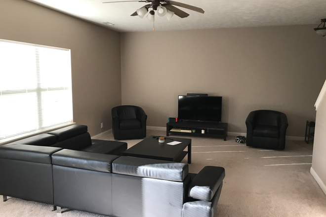 Living room (Shared) - Large house for rent - Shared with other Professional tenants
