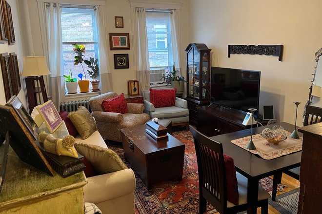 living room - Sunny Cleveland Circle 2 bed with deck - NO FEE Apartments
