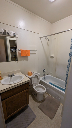 Bathroom - Master bedroom in 1B1B in Puffton Village Fall 2026 Apartments