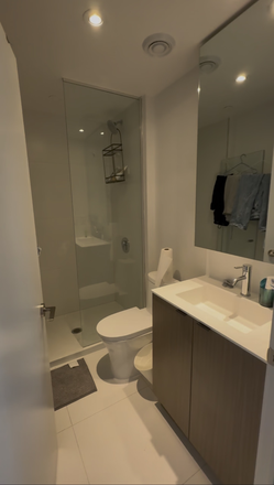 Your Bathroom! - 1 Furnished Bedroom with Bathroom and Laundry in Downtown Toronto. All utilities included.