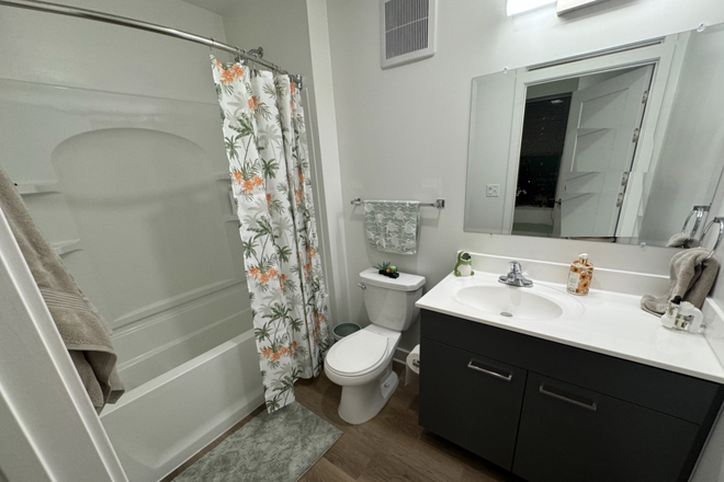 Bathroom - Tempo Apartment, Bedroom and Bathroom, 10 minute walk to campus