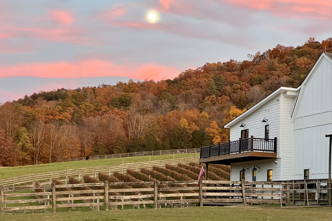 1 - Home on Beautiful Farm and Vineyard Minutes From Town Of Blacksburg