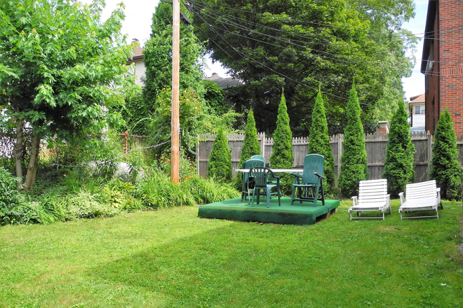 yard - SUNNY and SPACIOUS apartment near Boston College