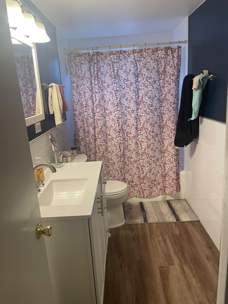 Bathroom - Congress Park House - Room for Rent