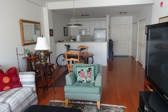Living area and kitchen - 1BR apt- Spring St House-Princeton