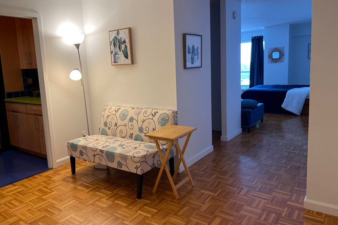 sitting area - Large, bright furnished studio in beautiful Jamaica Plain  neighborhood,  24h security, gym, pool