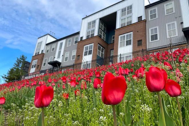 Apartment complex exterior - Prudden Place Apartments