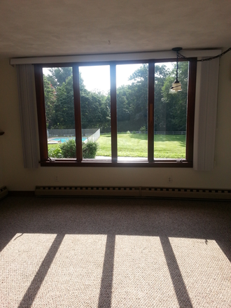 Living room with large window overlooking the open yard and adjoining woods - Sunny 1-Bedroom with Living/Dining + Bonus Room Apartments