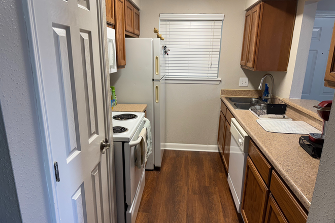 Kitchen - 1Bed available in 2bed/1bath Apt for Academic Year