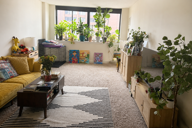 Living room - Park Charles Apartments