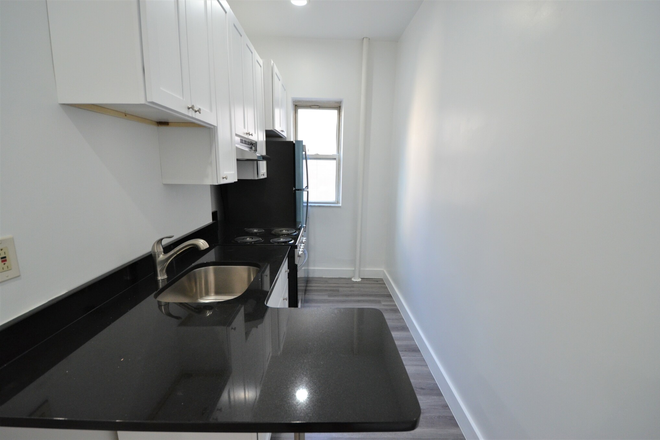 Kitchen - 3 bed 1 bath on Peterborough St - Modern Renovated Unit! Apartments