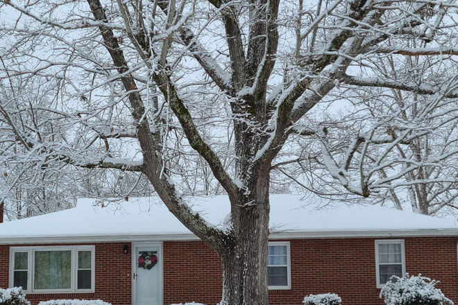 Outside front - Fully Furnished Brick Rancher Near Downtown House