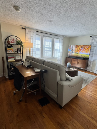 Living Room Set Up - Furnished Apt in Charming Neighborhood Near Campus for December and January