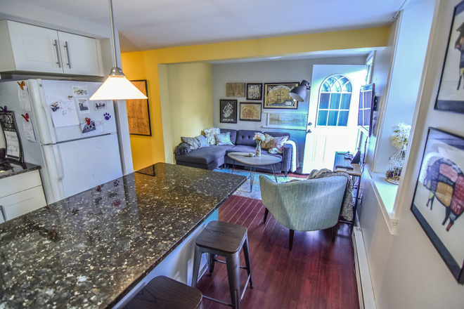 1 - SEPT 2026 - Amazing South End 1b / 1b, Student OK! No Broker Fees! Apartments