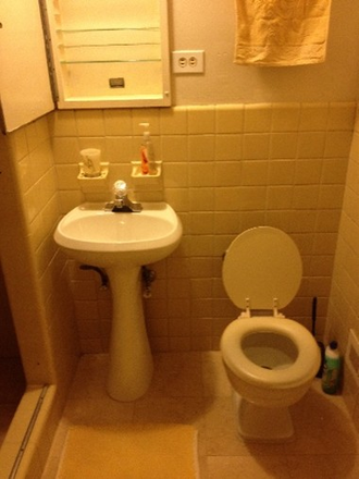 Private Bathroom within Private Bedroom - Private Bedroom w/ Private Bathroom in spacious apartment. Shared Kitchen with 1 other person in apt