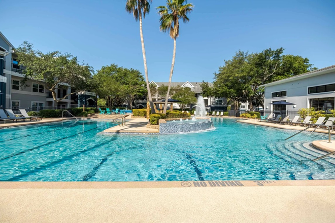 Pool View - The Verge Apartments