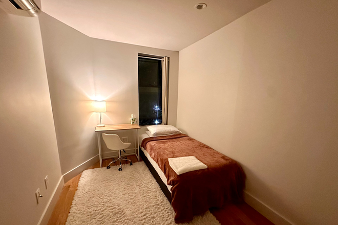 Subletted bedroom - Looking for summer sublet in Alphabet City apartment