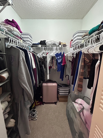 Closet - Spacious Private Bedroom & Bath in 2BR/BA Apartment - 2 Miles from USF!