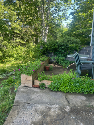 deck area - Sunny - lovely  2 bedroom Apartments