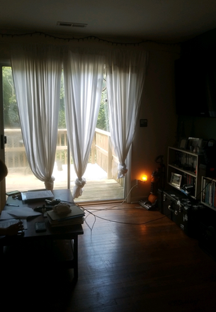 Living Room - Pet‑Friendly 1BR with Large Deck + Rivanna Trail Access + Prime Charlottesville Location