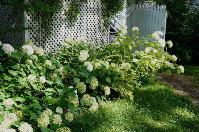 Garden Path - Historic Carriage House Apartment