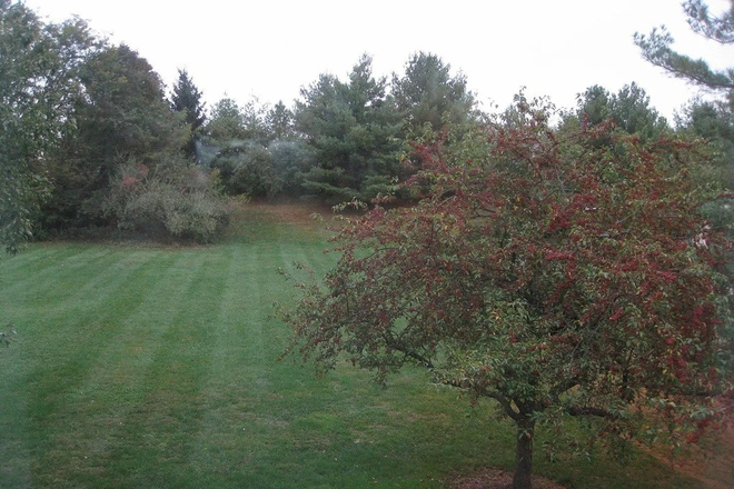 Rear of the house - 3BR townhome-Sayre Dr-Princeton