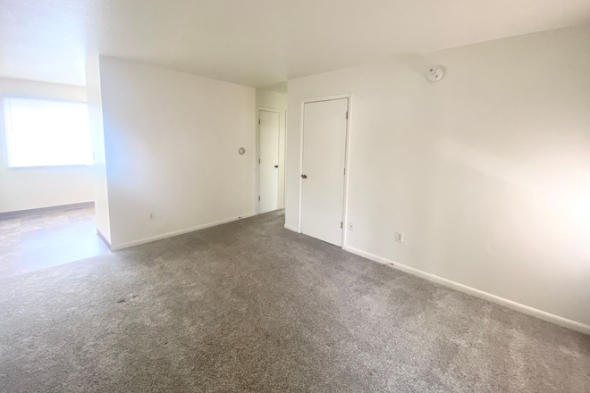 livingroom - Apartment along bus route and close to campus