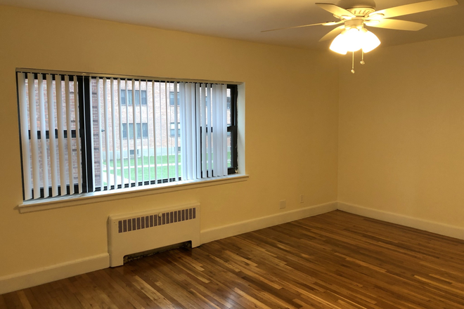 living room - All newly renovated, very spacious 3 bed 1 bath on Longwood Ave! Avail 9/1 Apartments