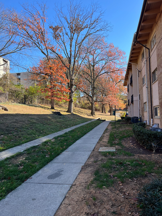 Front of the building - A cozy and spacious two-bedroom in New Carrollton, MD - available June 15 Condo
