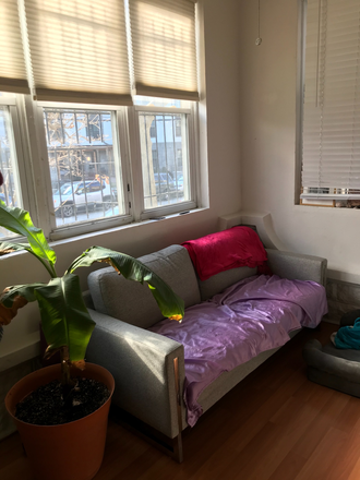 Living Room - 4003 Pine Street Apartments