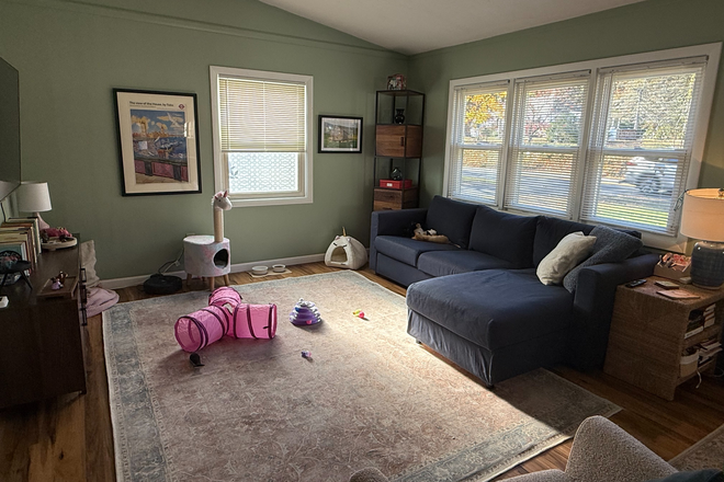 Living Room - Pet-Friendly Home, w/ Fenced in Backyard, in Northampton