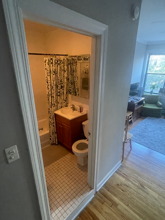 Shared bathroom - Sublease a 3BD/2BTH, $874/Month, all utilities included apart from electricity, Lincoln Park Apartments