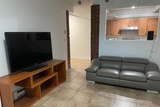 Livingroom - "Private Bedroom" Brighton/Brookline - Step to B, C & D Green line Apartments