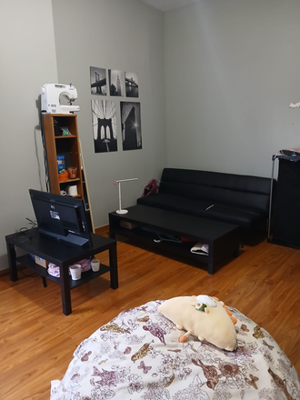 Living room - Subleasing a room ( 9 min walking to East Campus)