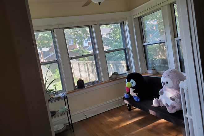 1st floor run room - House for rent across Washington University, Central AC, Hardwood flrs., brick, 0.1 mile from campus