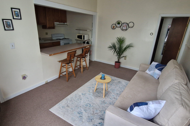 Living room and kitchen - 1BR Apartment - Summer sublet!