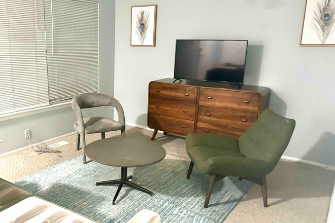 living room - pic 1 - Renovated & Furnished 3BR Townhouse (2.5BA), Walk to UMD, Fits 3-5 Tenants - $3300 Total