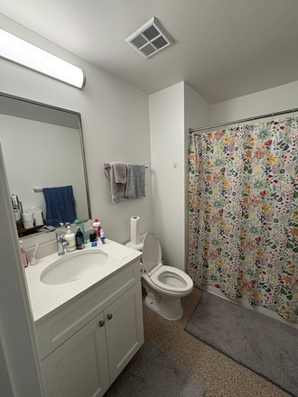 Bathroom - South Campus Commons 4 Lease Transfer for Spring 2026 Apartments