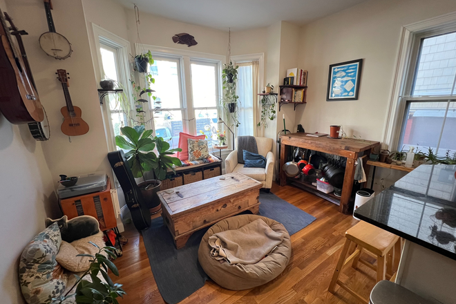 Common Room - Beautiful 2-Bedroom in Central Square Victorian Mansard House