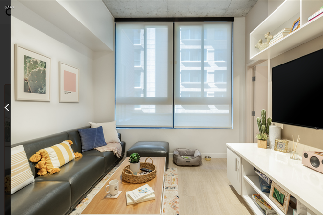 shared living space - Oliv Tucson (close to campus) Apartments
