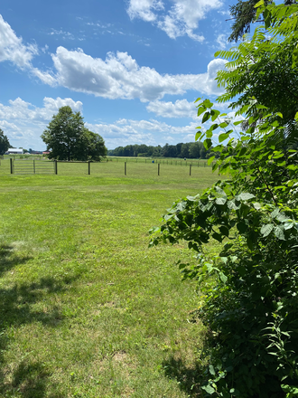 Property abuts this land/views - Sunny-der-land Cape, exceptional walkability, charming downtown, river and PVTA in steps House